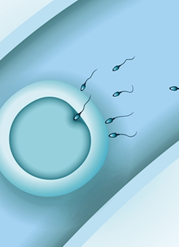 private infertility treatments london